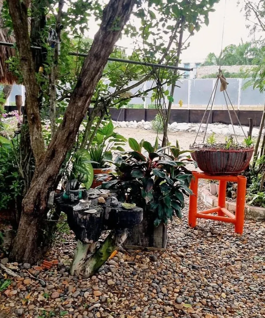 Pensión Hotel El Refugio Del Tiburon Cartagena Colombia