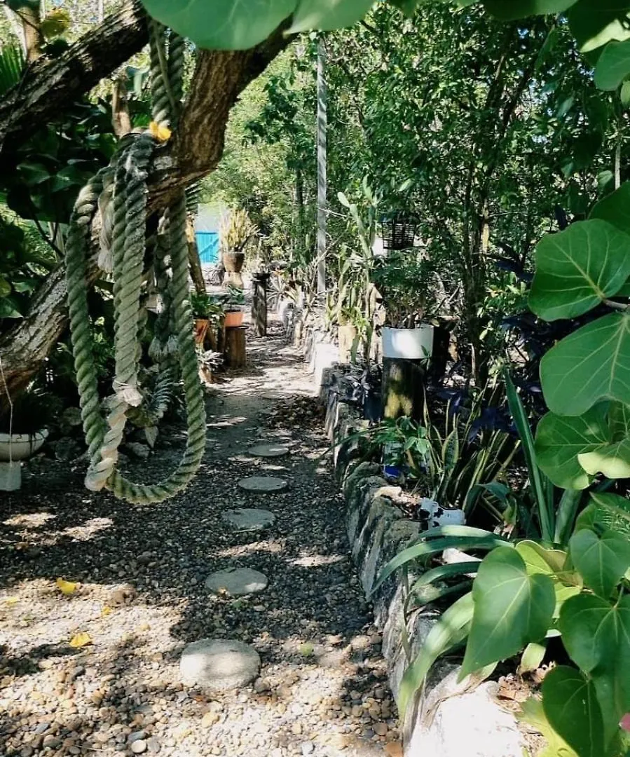 Hotel El Refugio Del Tiburon Cartagena Colombia