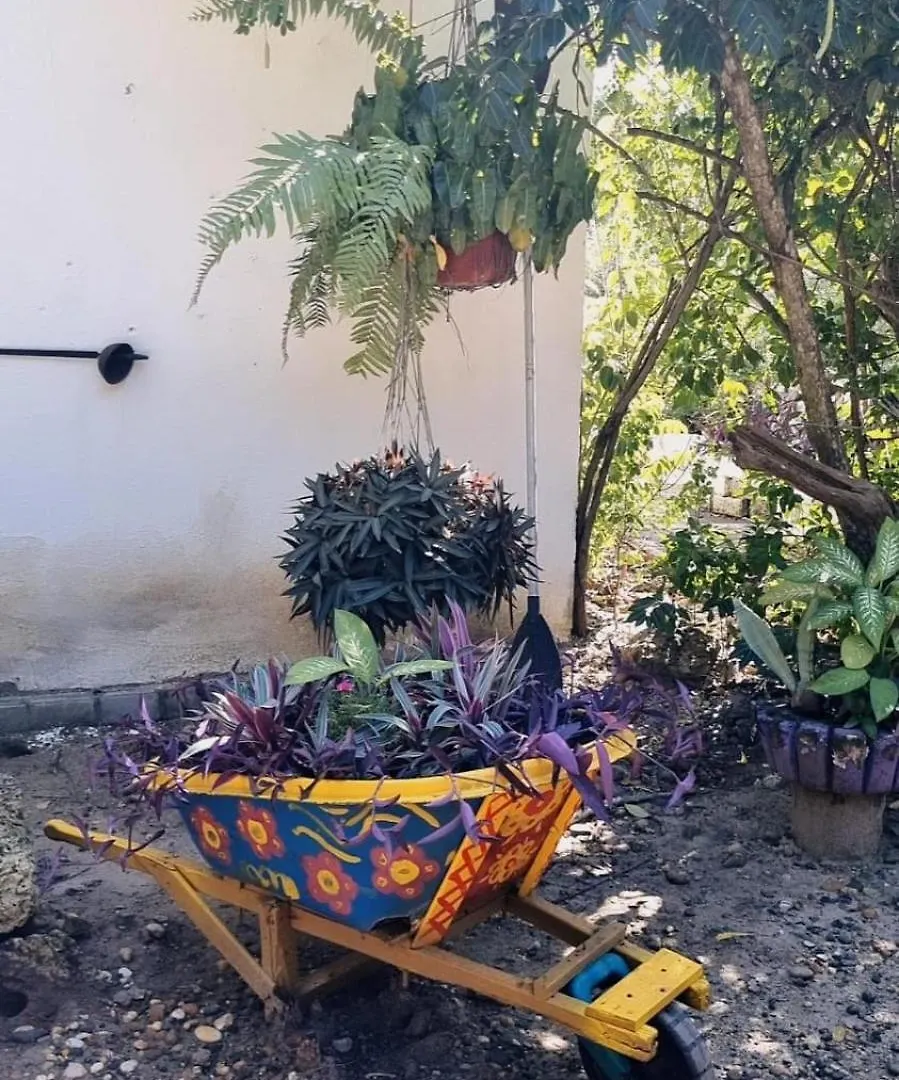 Hotel El Refugio Del Tiburon Cartagena 0*,  Colombia