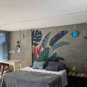 https://zona-libre-campestre.colombiamedellinhotels.com